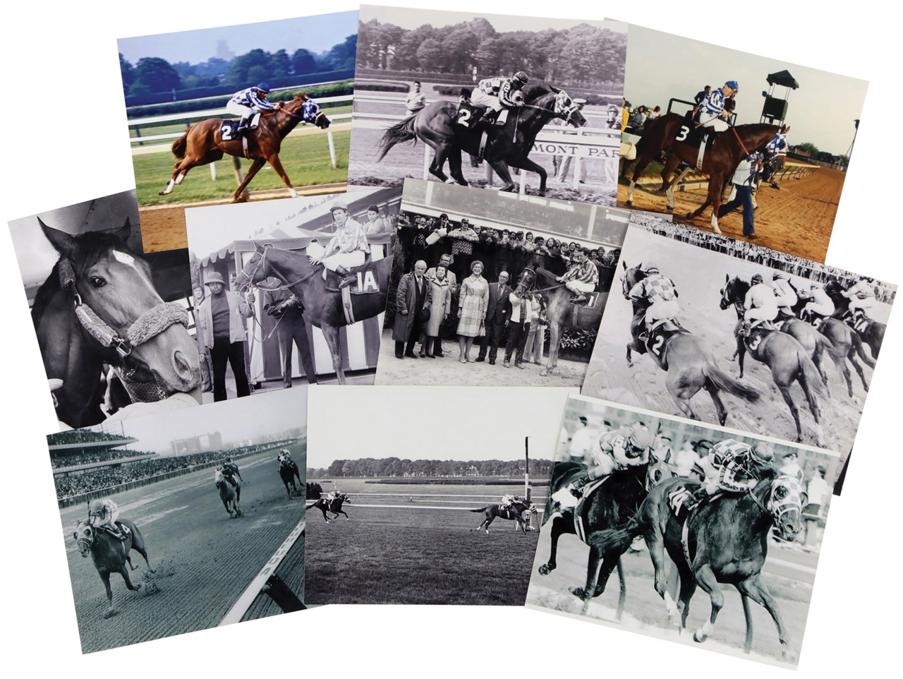 Horse Racing - Secretariat 8x10" Photo Scrapbook Collection (150+)