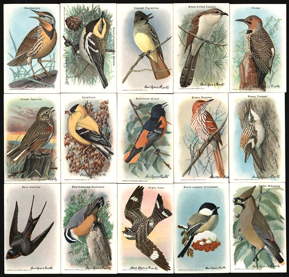 Non-Sports Cards - 1938 Church & Dwight Co Useful Birds Complete Tenth Series Set (15)