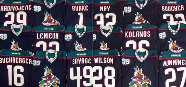 - 2002 Complete Set of Phoenix Coyotes Wayne Gretzky Retirement Game Worn Jerseys (24)