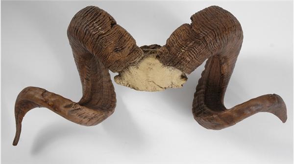 - The Centerpiece Ram’s Horns From Los Angeles Rams Original Offices