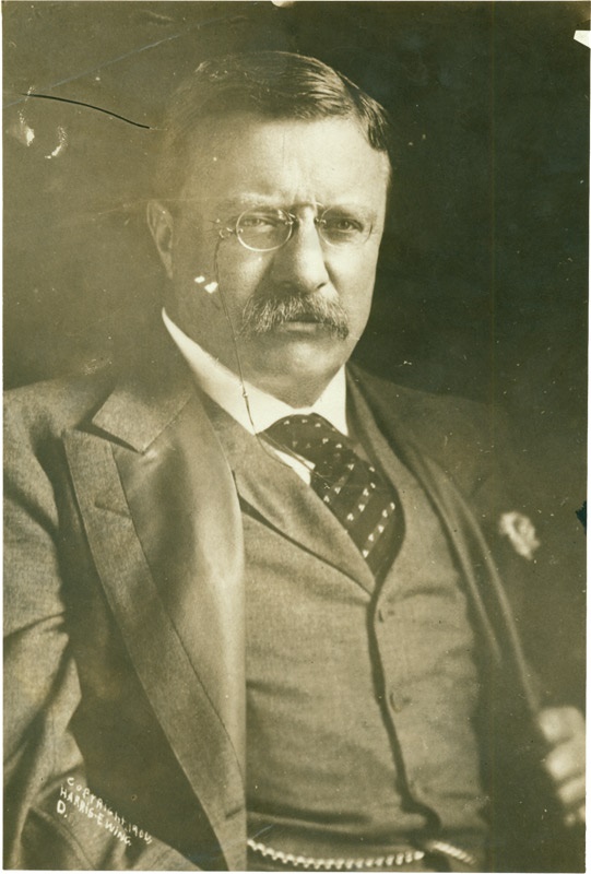 Teddy Roosevelt by Harris &amp; Ewing (1906)