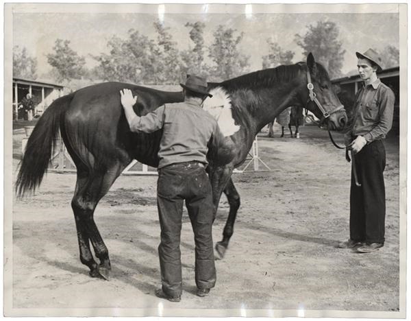 - Seabiscuit Gets a Rubdown (1939)