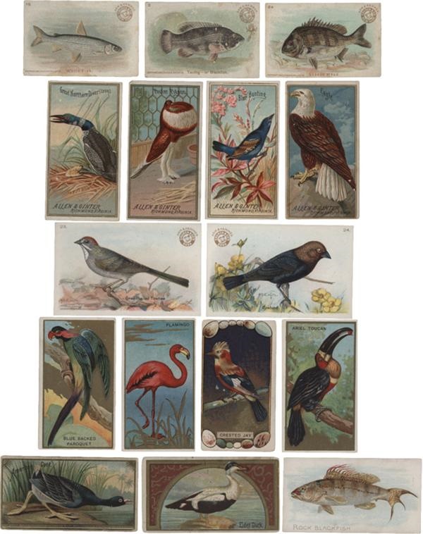 1880's-1960's Bird and Fish Tobacco Cards (350+)