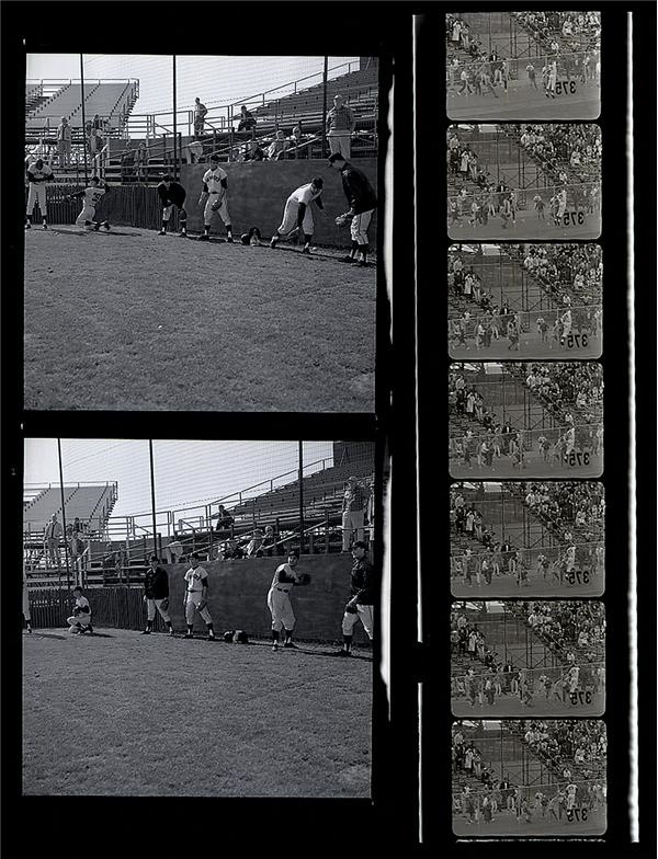 Huge SF Giants Negative Collection (3,500+)
