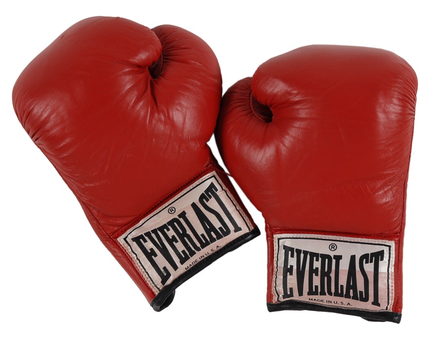 - Edwin Rosario Fight Gloves - Julio Cesar Chavez Match