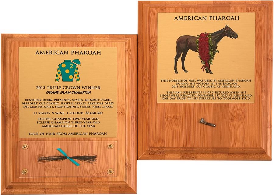 - American Pharoah Horseshoe Nail from Breeders Cup & Lock of His Mane