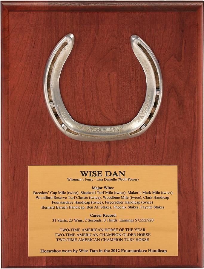 Wise Dan Raceworn Horseshoe (Mounted)