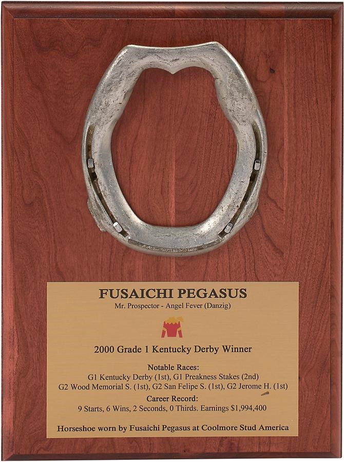 - Fusaichi Pegasus Stallion Horseshoe (Mounted)