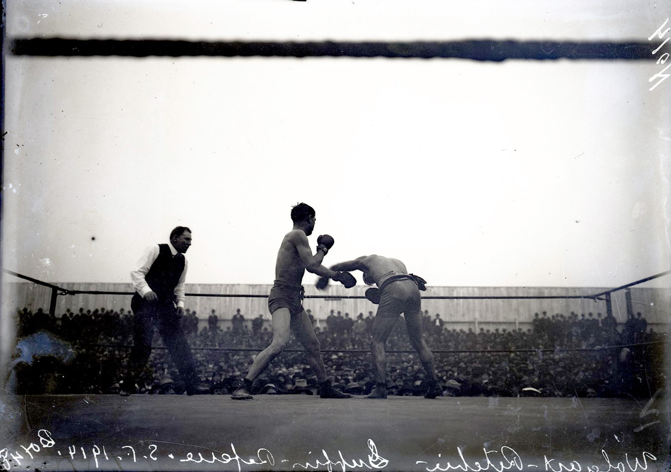 Dana Collection Of Important Boxing Negatives - 1914 Wolgast vs. Ritchie "Battling in the Ring" Type I Glass Plate Negative by Dana Studios