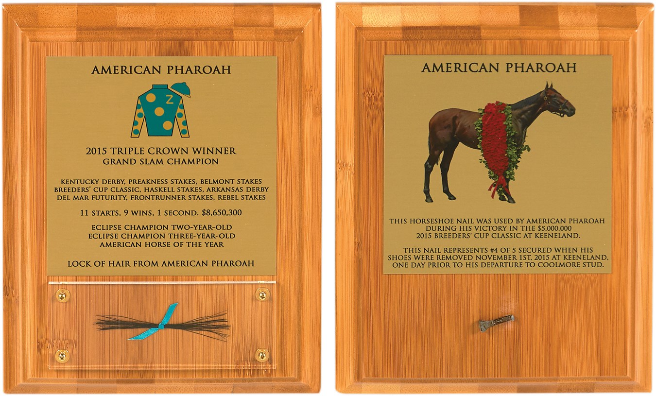 - American Pharoah Horseshoe Nail & Mane Hair from the 2015 Breeder's Cup Classic "Grand Slam" (2)