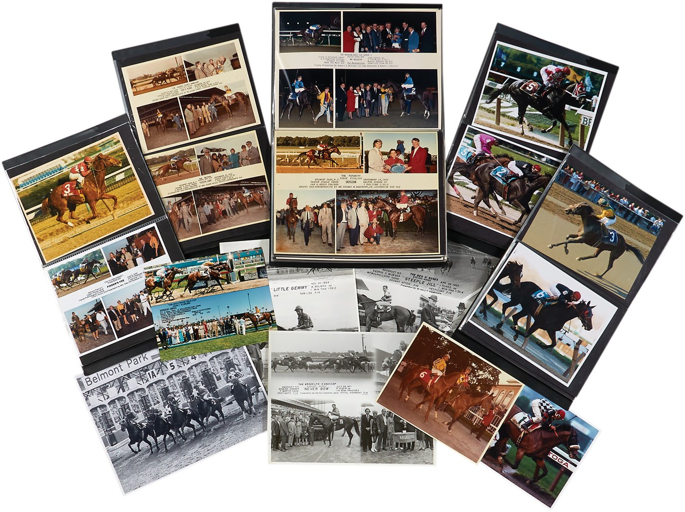 - The NYRA Archive of Horse Racing Photographs (500+)