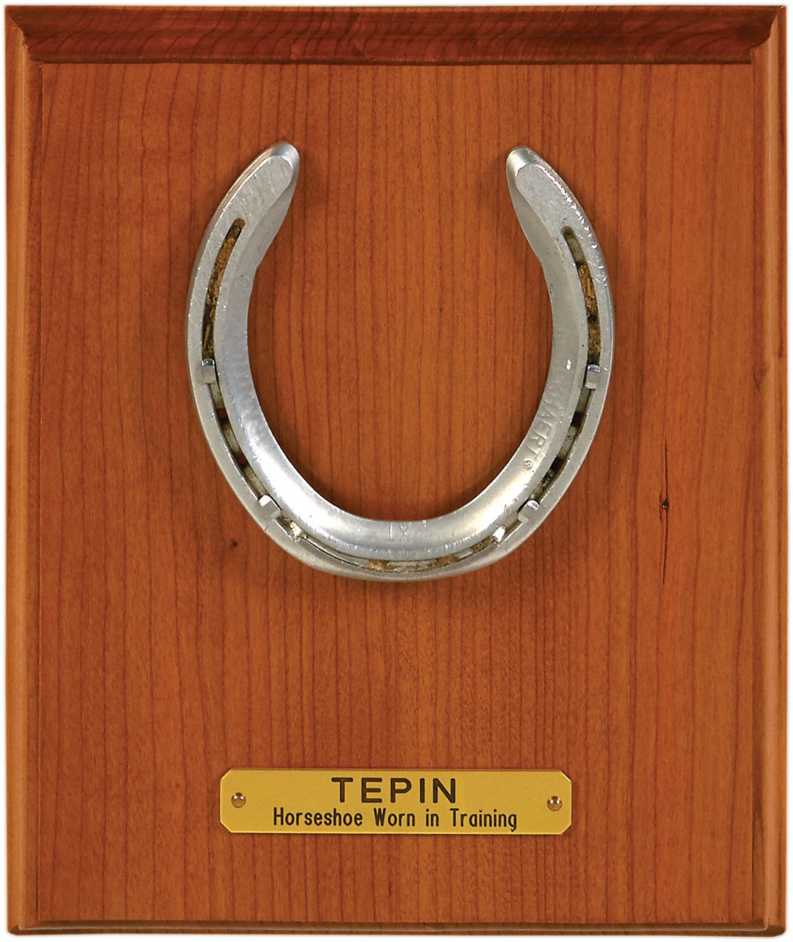 - "Tepin" Horseshoe Worn During Training