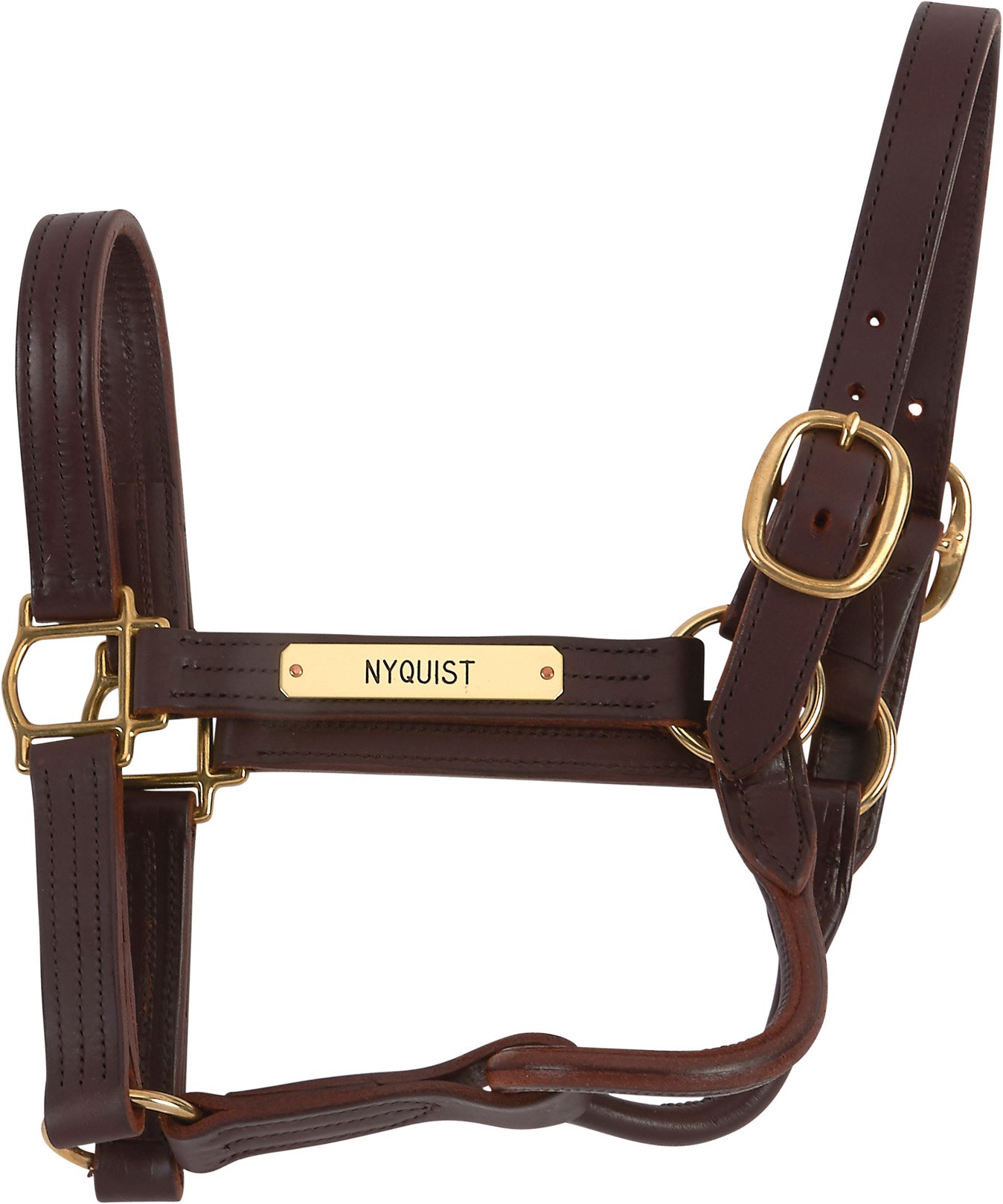 - 2016 Nyquist Worn Halter the Day After Preakness (Trainer LOA)