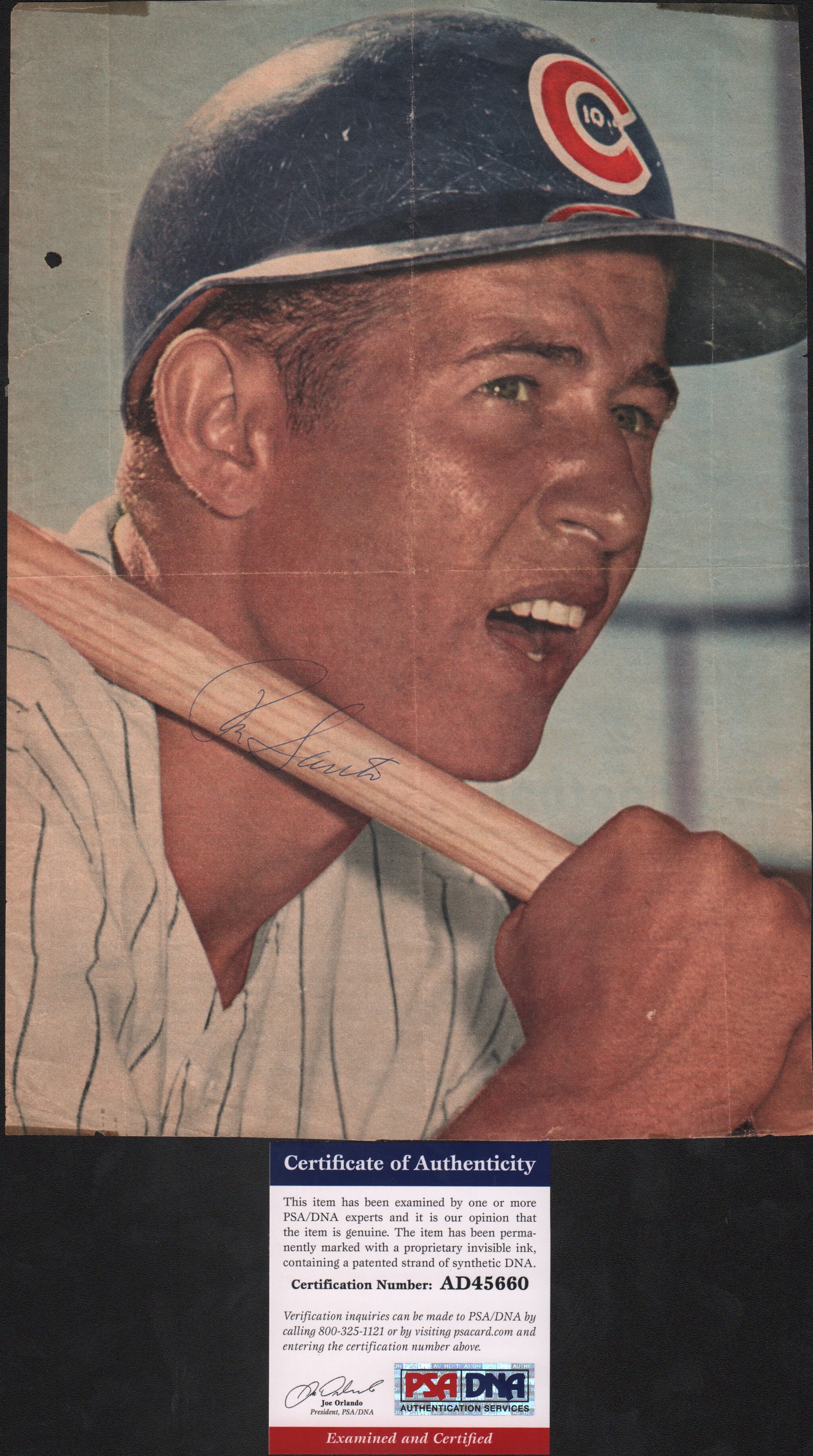 Baseball Autographs - Ron Santo Vintage Signed Image