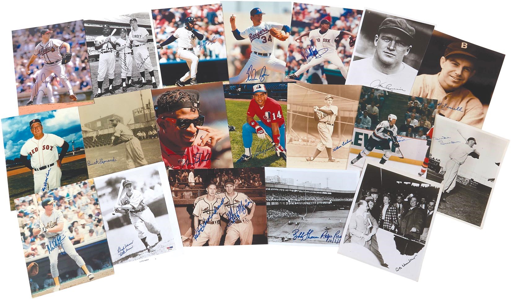Baseball Autographs - Colossal Multi-Sport Signed Photograph Archive (2,400+)