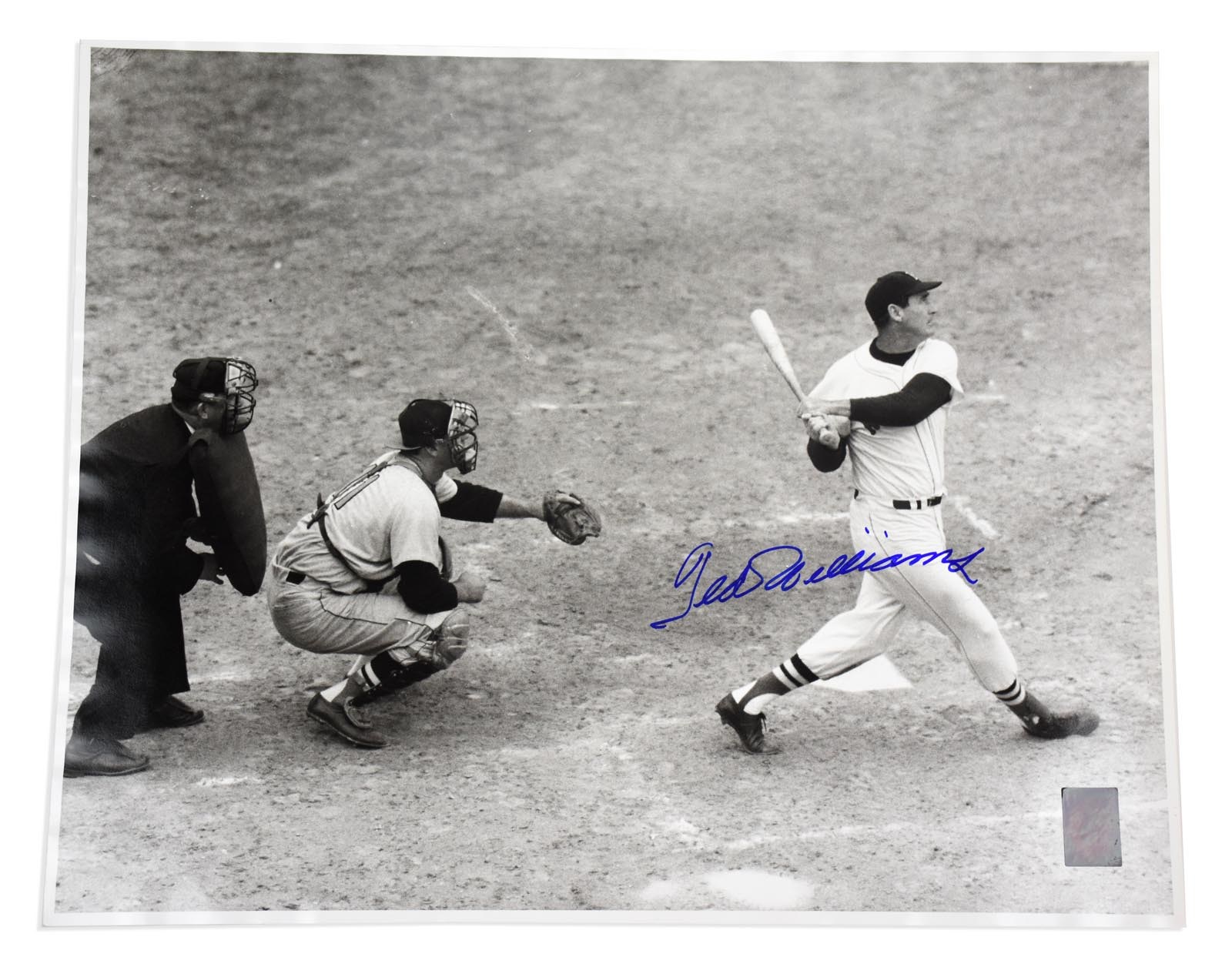 - Ted Williams Signed 16 x 20"