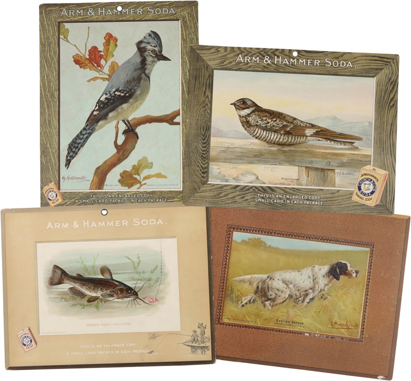 Non-Sports Cards - Arm & Hammer Birds of America Advertising Retail Signs (17)