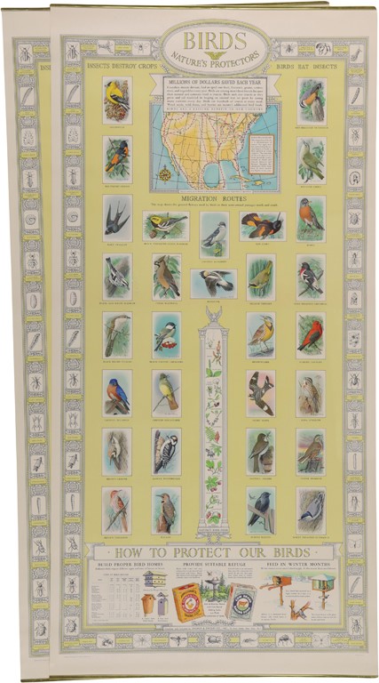 Non-Sports Cards - Birds of America Advertising Store Display Posters (11)