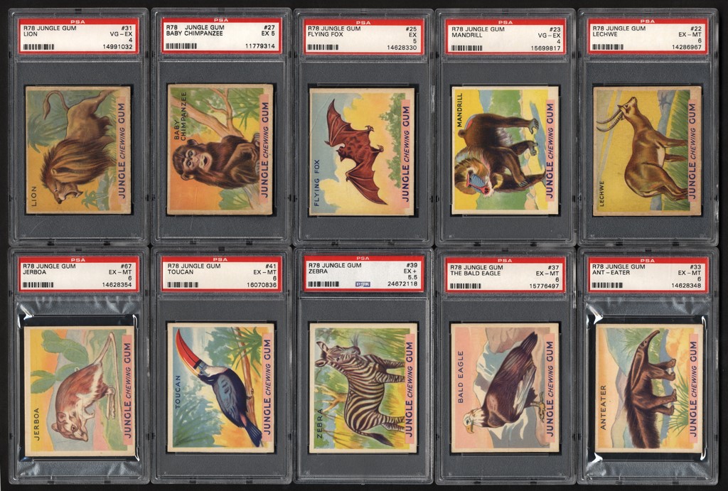 Non-Sports Cards - 1930s Non-Sports Cards All Graded Collection