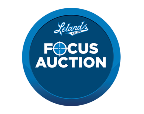 Lelands Focus Auctions™