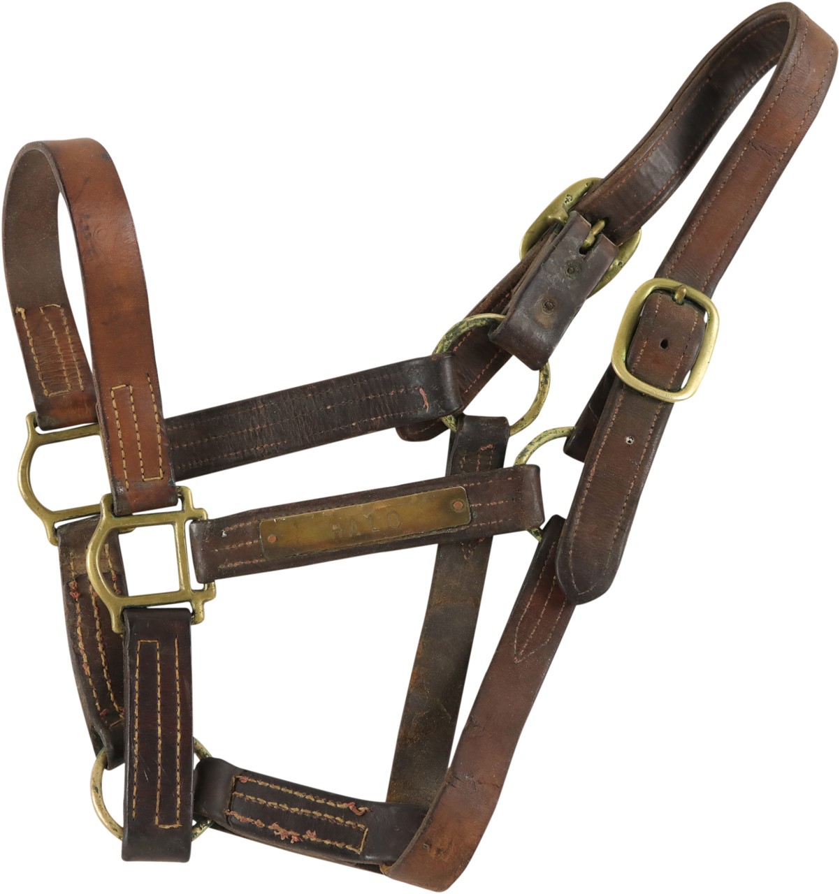 - Halo Stallion Halter