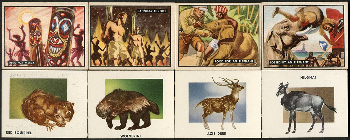 - 1950-1951 Bring Em Back Alive & Animals of the World Complete Set (200)