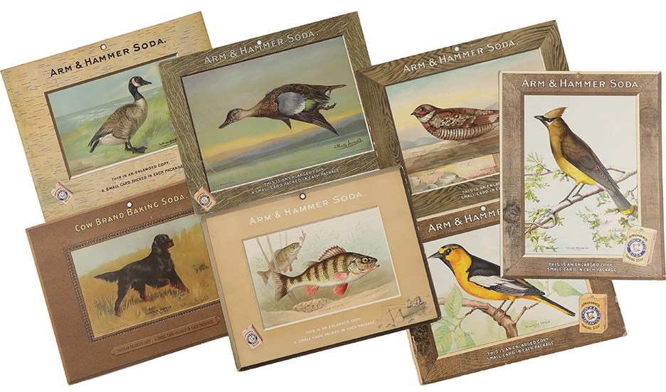 - Large Arm & Hammer Birds, Dogs, & Fish Advertising Cards (7)