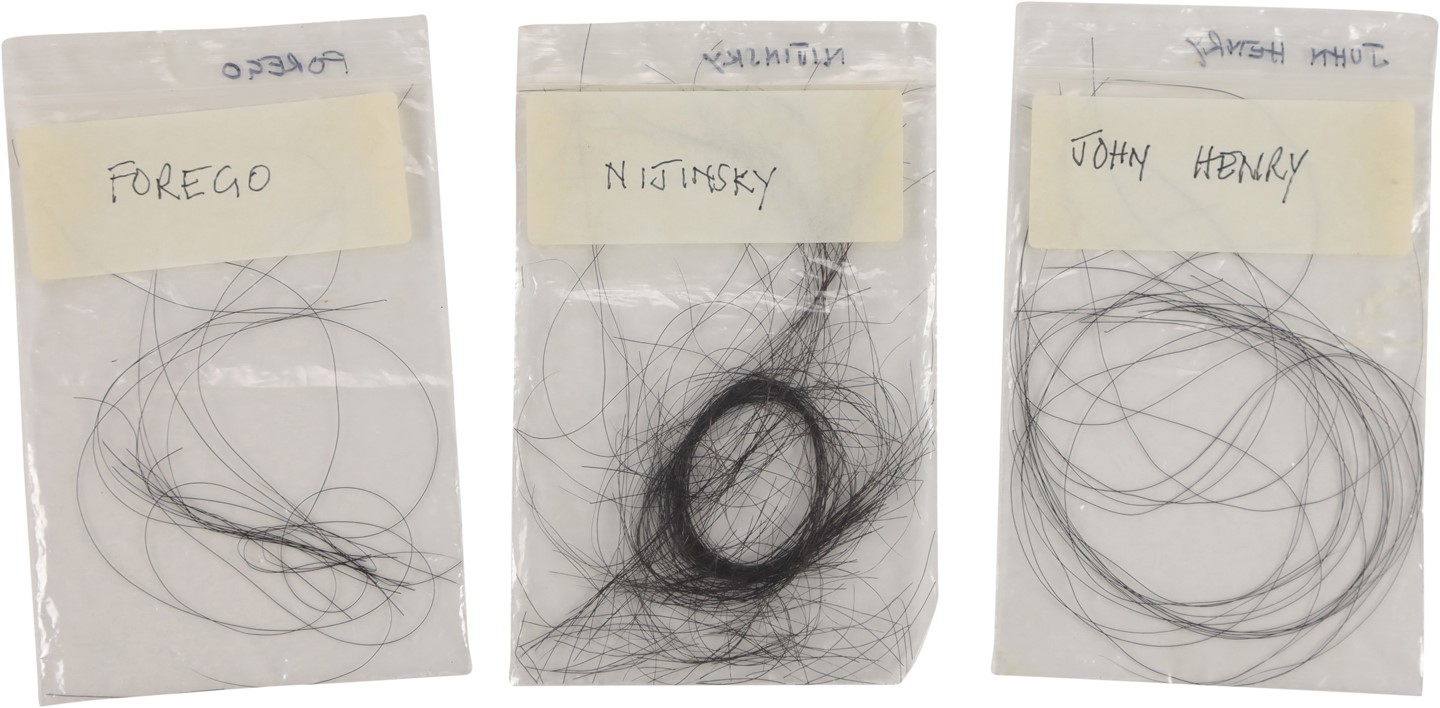 Horse Racing - Locks of Hair from John Henry, Forego, and Nijinsky