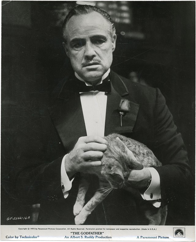 Marlon Brando As The Godfather Photograph 