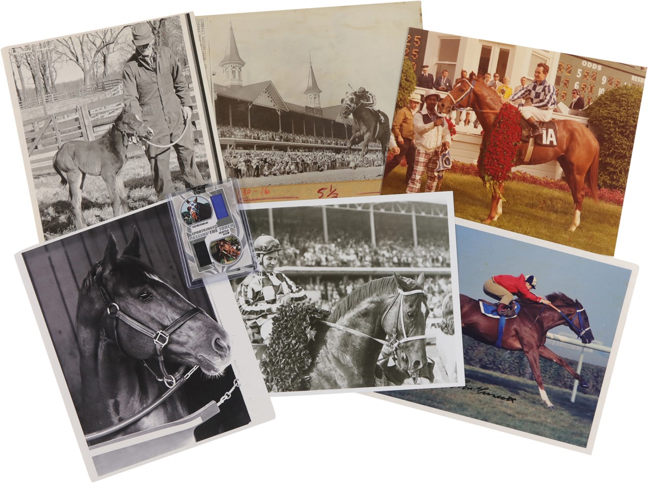 Secretariat Collection (41)