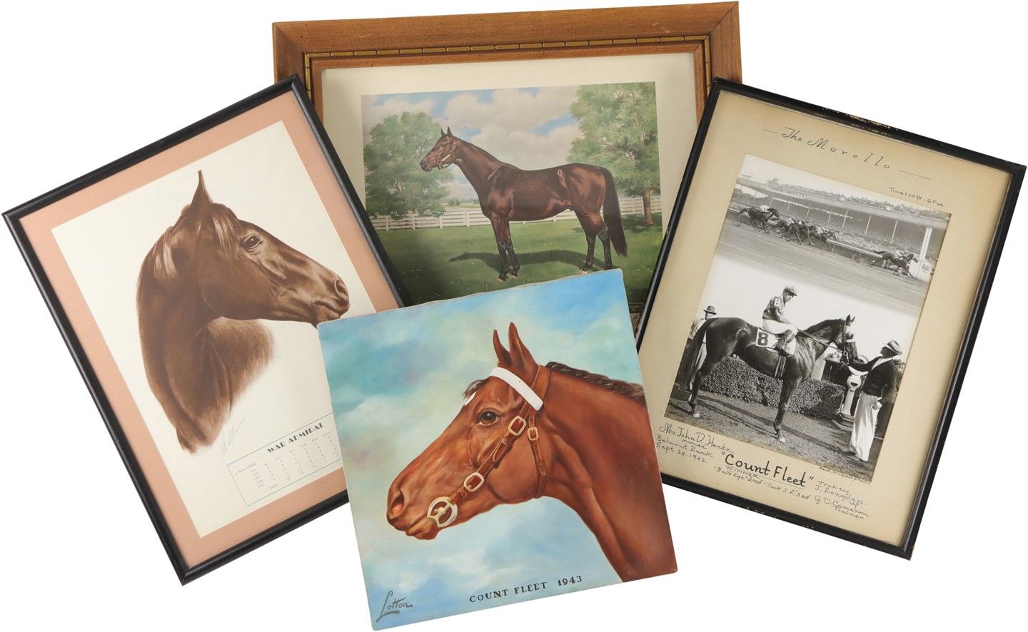 Horse Racing - Beautiful Pictures of Three TC Champions (5)