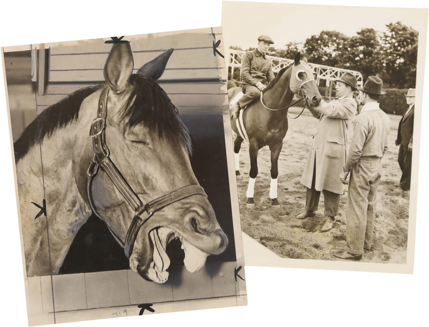 Horse Racing - Seabiscuit Press Photo Collection (19)