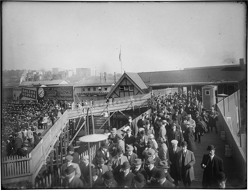 The Brown Brothers Photograph Collection - Polo Grounds Original Glass Plate Negative
