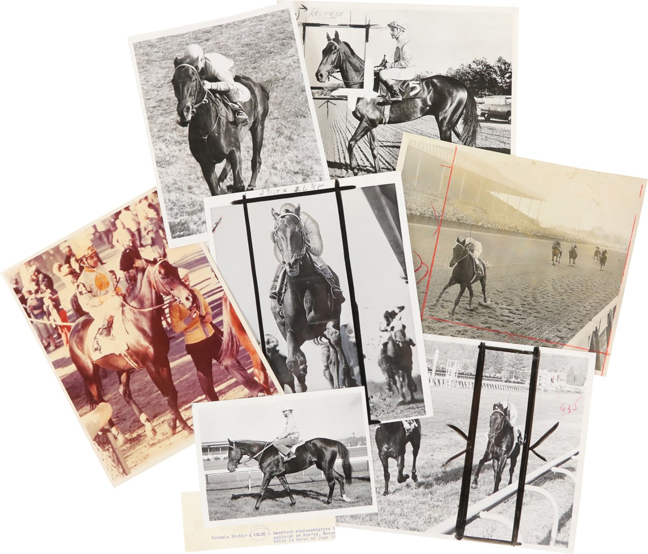 Horse Racing - Kelso Photograph Collection (30)