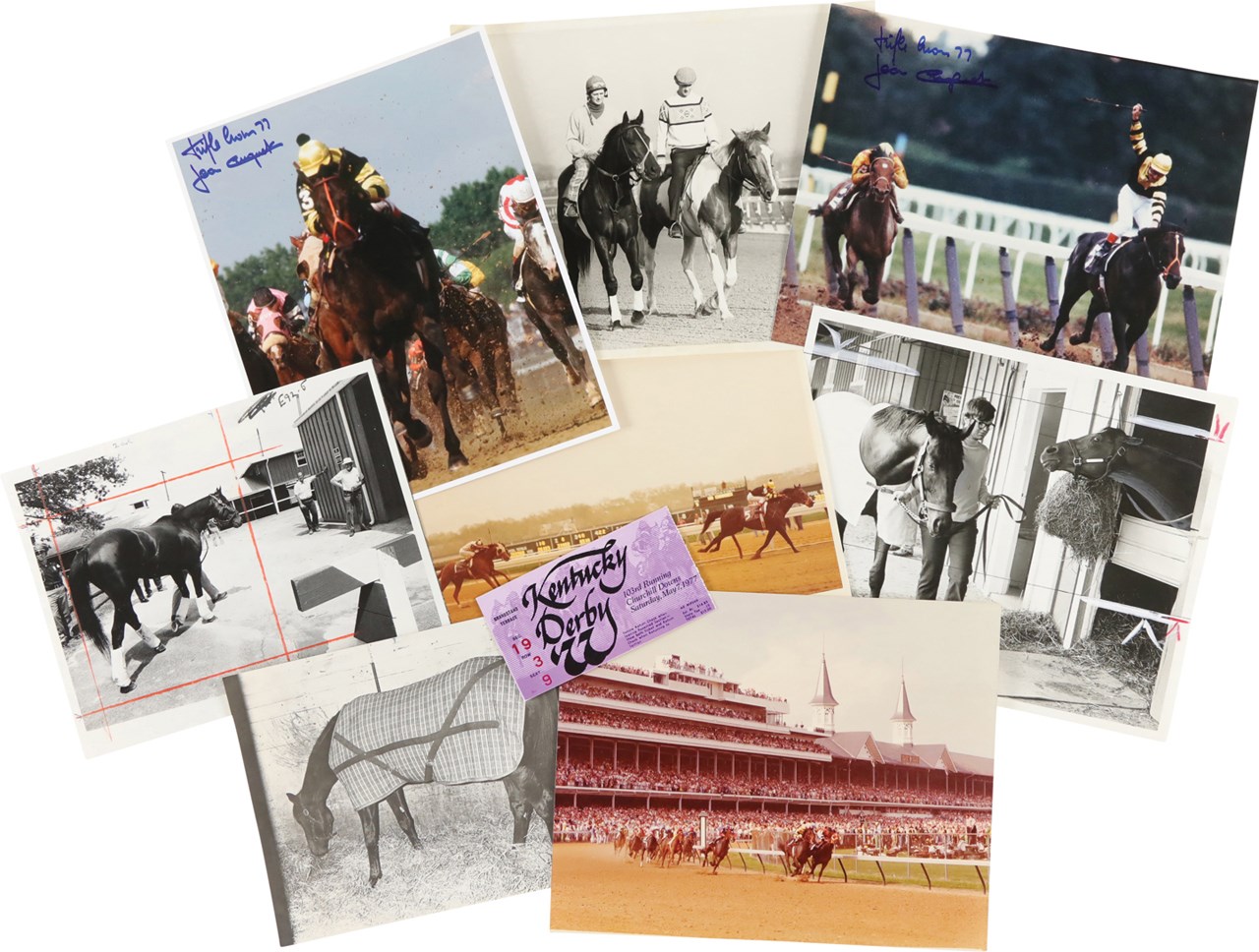 - Triple Crown Champion Seattle Slew Collection (41)
