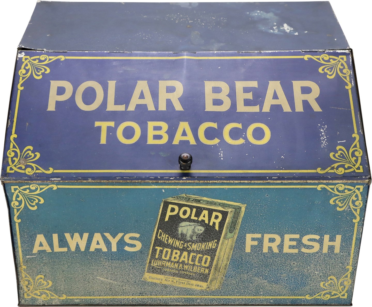 - irca 1910 Polar Bear Tobacco Store Counter Top Display Tin