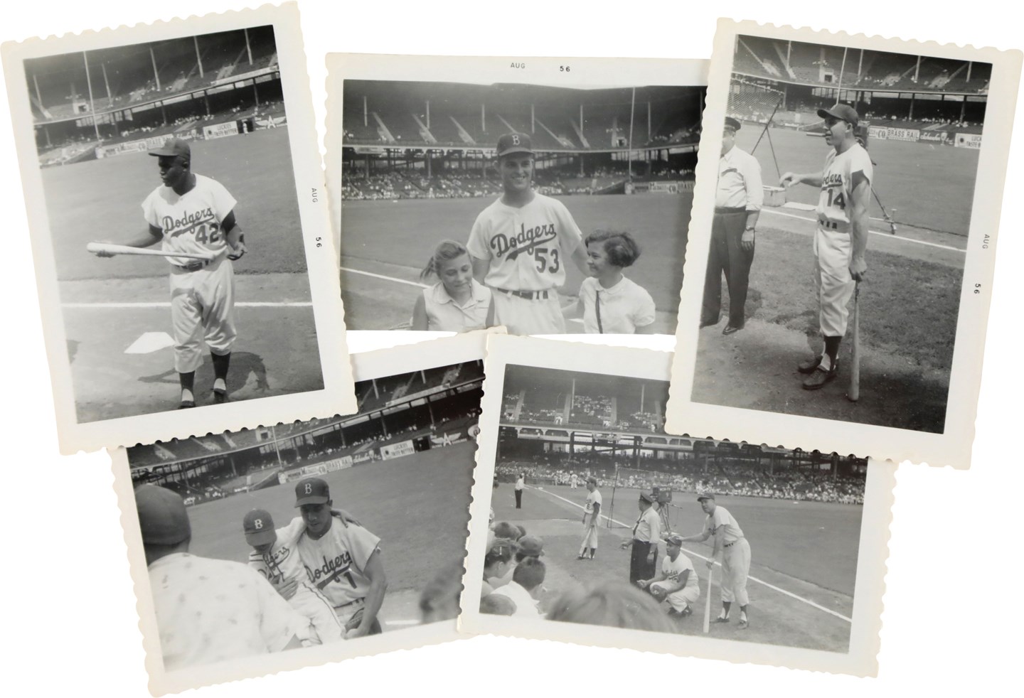 - Remarkable 1956 Brooklyn Dodgers Snapshot Photograph Collection (27) w/Jackie Robinson and Most of the Players