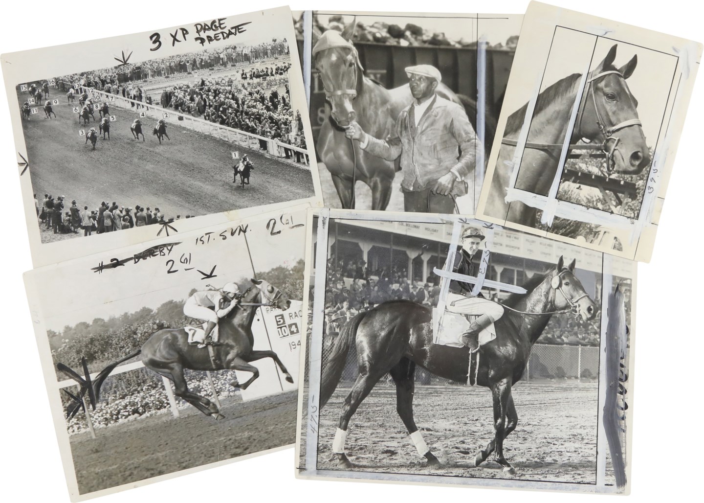 1940s Photographs of Leading Racehorses (40)
