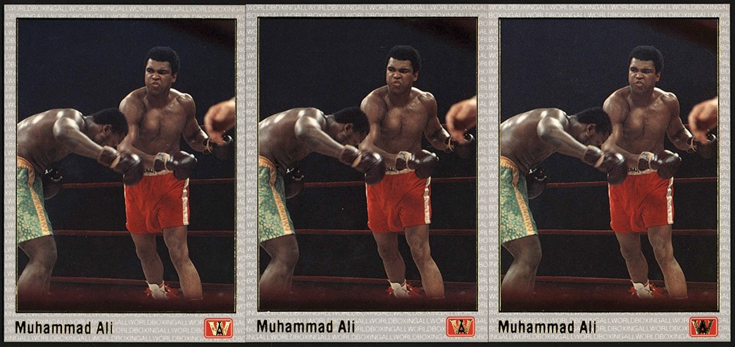 - 1991 All World Boxing Set Collection in Binders (3)