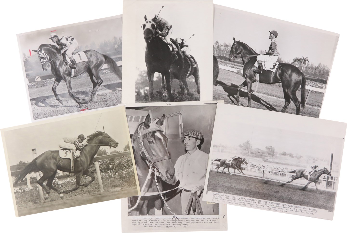 Beautiful Photographs of Horse Racing's Star Thoroughbred Horses of the 1950s (56)