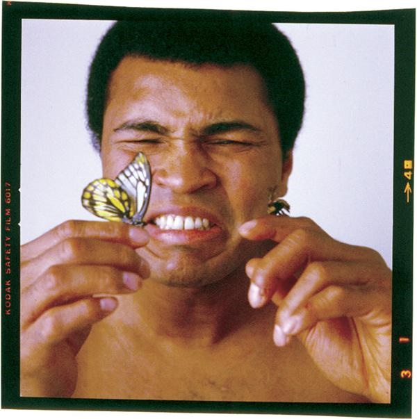 Muhammad Ali Butterfly Negative