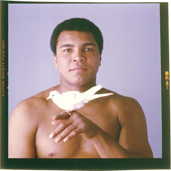 Muhammad Ali Dove Negative