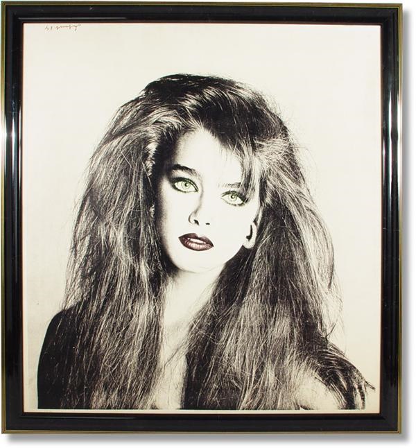 Art - 1984 Brooke Canvas Photo Silkscreen by Francesco Scavullo (57x52”)