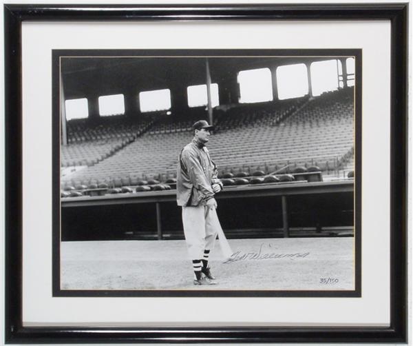 Ted Williams Signed Photo Collection (7)