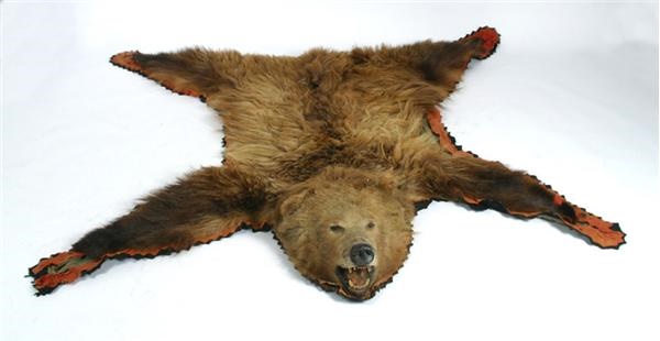 Hockey Memorabilia - Boston Bruins Bear Rug that Hung in the Boston Garden