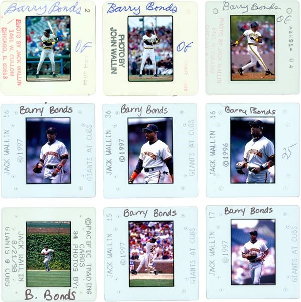 Baseball Photographs - Barry Bonds Donruss Baseball Card Outtakes (147)