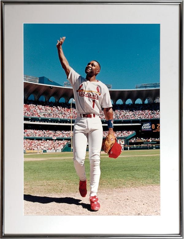 Cardinals - Large Ozzie Smith Photo From Busch Stadium