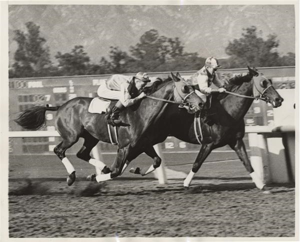 8x10 1938 Seabiscuit vs War Admiral PHOTO Poster Horse Race Racing Epic  Battle