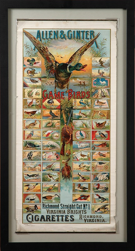 Nonsports Trading Cards - A9 Allen & Ginter "Game Birds" Advertising Poster