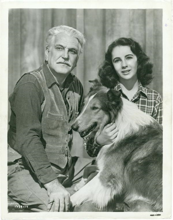 - Liz Taylor in Lassie (1946)